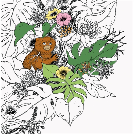 Carnet de coloriages Au fil du fleuve Amazone