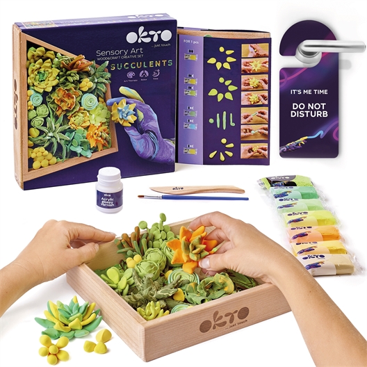 Kit de modelage succulentes