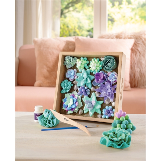Kit de modelage succulentes