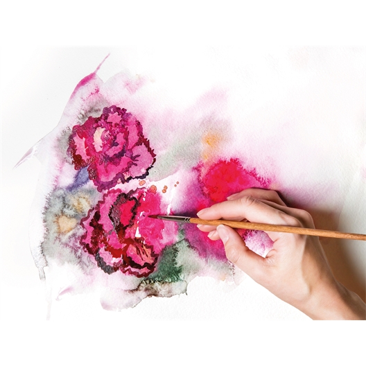 Set aquarelle de 12 couleurs