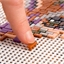 Mosaic Art : Perroquet
