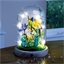 Kit décor cloche verre Jardin luxuriant