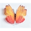 Stickers papillons 3D