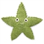 Kit tricot Star l'étoile de mer