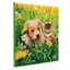 Kit tableau broderie diamant Chiot/chaton dans la prairie