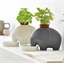 Pot éléphant à réserve d’eau : gris ou blanc