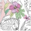 Petit livre de coloriages Fleurs exotiques