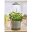 Lampe LED pour plante