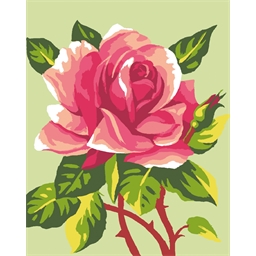 Kit canevas Rose