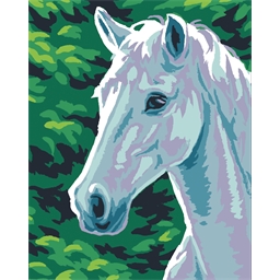 Kit canevas Cheval