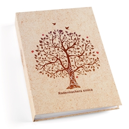 Album photo arbre de vie