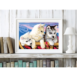 Peinture par numéros Dans le grand nord