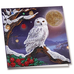 Kit carte broderie diamant Chouette de Noël