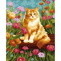 Peinture par numéro Chat roux dans les fleurs