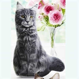 Coussin chat en velours à coudre Gris