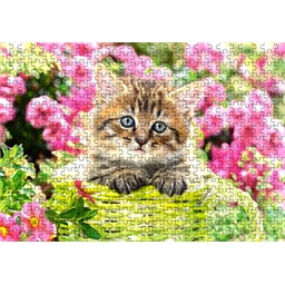 Puzzle 500 p - Douceur de chaton, Puzzle adulte, Puzzle, Produits