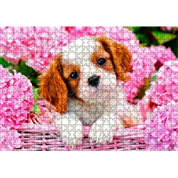 Puzzle 500 pièces Chiot