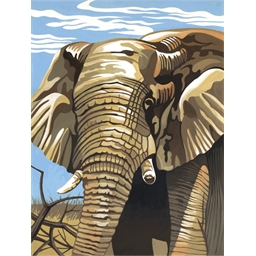 Peinture par numéros medium Eléphant