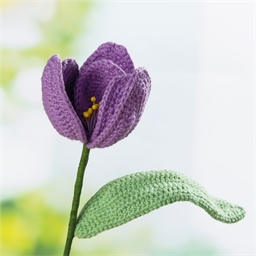 Kit fleurs au crochet Tulipe