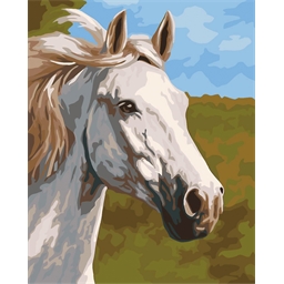 Peinture par numéros Cheval