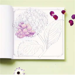Grand carré Art thérapie herbier