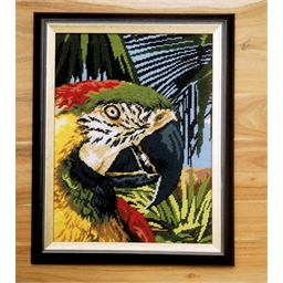 Kit tableau canevas perroquet