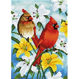 Kit broderie diamant Famille cardinal