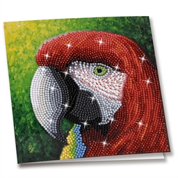 Kit carte broderie diamant Perroquet rouge