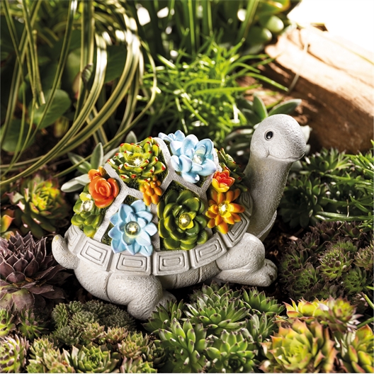 Tortue lumineuse Tortue lumineuse