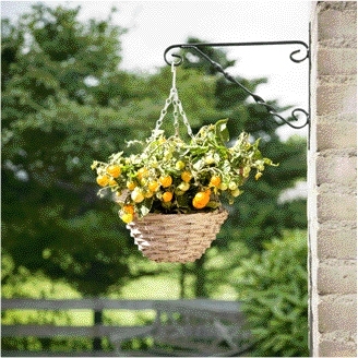 Panier suspendu tomates jaunes