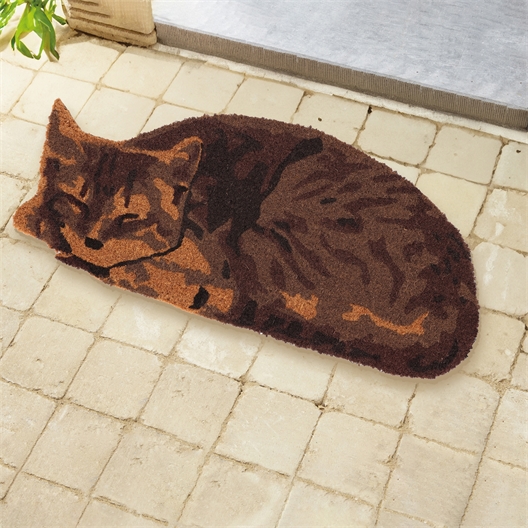 Paillasson coco chat dormant