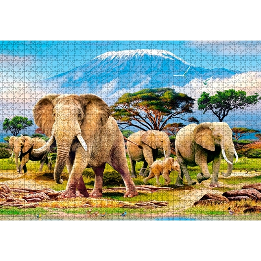 Puzzle 1000 pièces : Eléphants