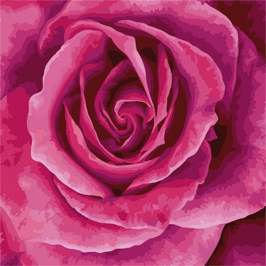 Lot de 2 peintures par numéros Rose