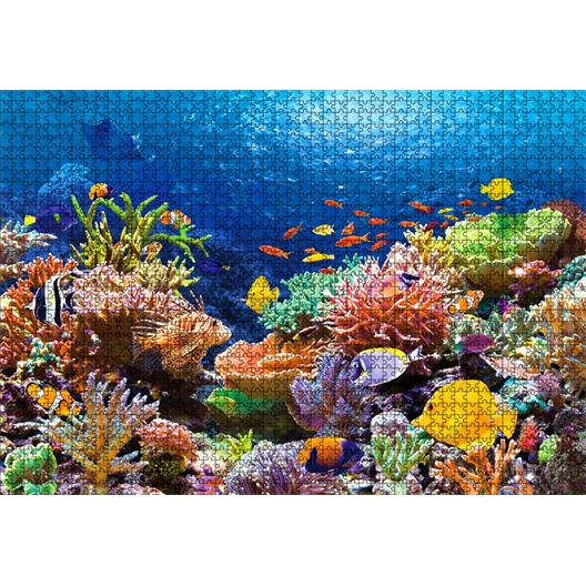 Puzzle 1000 pièces : Grande barrière de corail