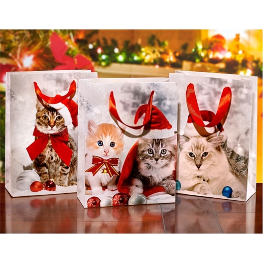 Lot de 3 sacs cadeaux chatons