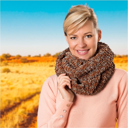 Fiche explicative Dolphin animal snood court n°1