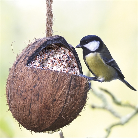 Noix de coco fourrée