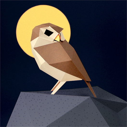 Kit 3D en papier oiseaux