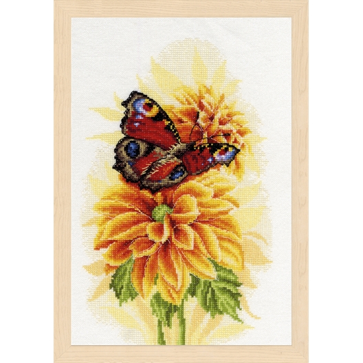 Kit point compté Papillon paon flottant