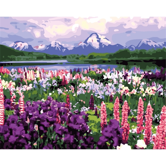 Peinture par numéros Prairie fleurie