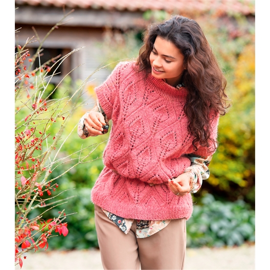 Modèle tricot Alpelino pull n°1