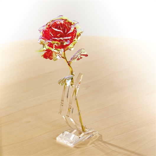 Rose dans son coffret : blanche ou violette