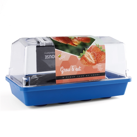 Mini serres fraisiers ou fleurs comestibles