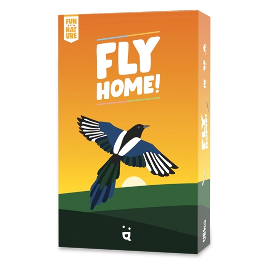 Jeu de mémoire Fly Home