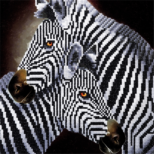 Kit broderie diamant Duo de zèbres