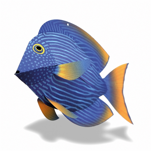 Kit 3D en papier : poissons ou crabe