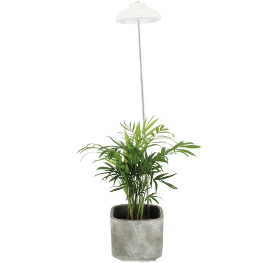 Lampe LED pour plante