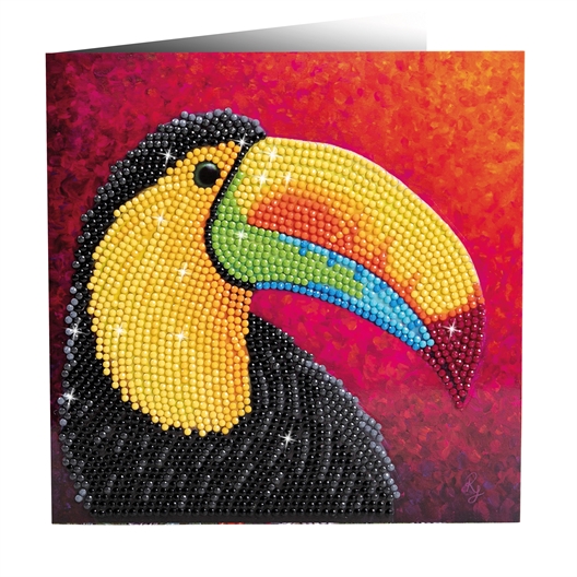 Kit carte broderie diamant Toucan