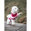 Modèle tricot Happy uni pull chien n°1