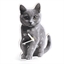 Horloge chat gris